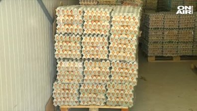 Предупреждение за фалити на птицевъди: Ще поскъпнат ли яйцата?