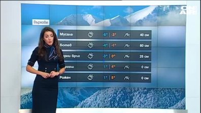 Централна прогноза