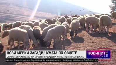 Късна емисия