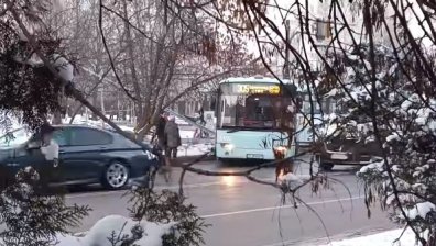 Пореден инцидент с автобус: Поднесе на лед и се заби в стълб в столичния "Младост"