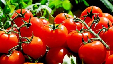 Третокачествени гръцки домати заливат пазарите ни