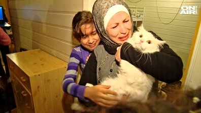 Котка бежанец обиколи Европа: Намери изгубените си стопани