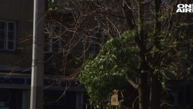 Врачански села останаха без ток заради силен вятър 