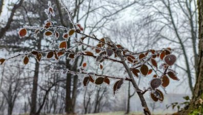 Времето днес: Облачно с превалявания от дъжд и сняг