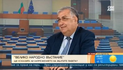 Проф. Близнашки: Несъстоятелна теза е, че в България има диктатура
