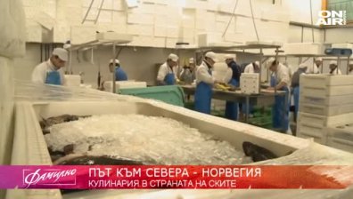 Риба и морски дарове...Да похапнем в Норвегия!