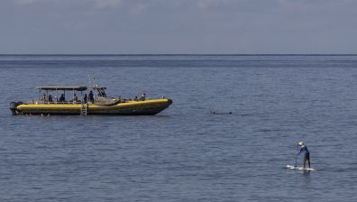 Близо 70 страни подписаха договор за защита на откритото море