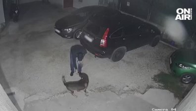 Насилникът на кучето Мечо остава в ареста: Пуснете ме, повече няма да върша злодеяния