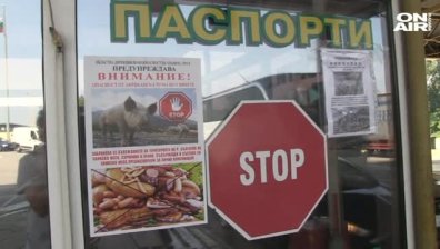 Строг контрол в районите с африканска чума по свинете