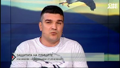 Прибирането на птици понякога крие рискове