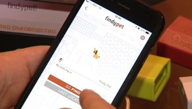 Устройството FindyPet открива изгубени домашни любимци