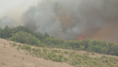 Потушиха горския пожар край село Бабек, разрасна се друг