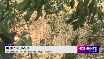 Обедна емисия