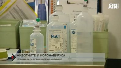 Зъболекарите настояват за предпазни средства