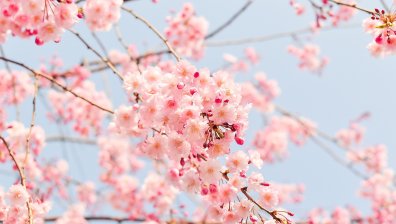 Топла и слънчева неделя, градусите гонят 20°