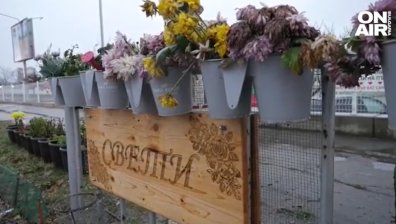 Шумен каза "Не" на условната присъда на Кюркчиев, прегазил 23-годишната Свети