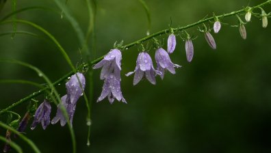 Времето днес: Остава облачно с валежи в някои части на страната