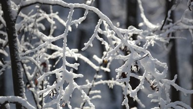 Студ сковава страната, половин България е в жълт код за снежни виелици