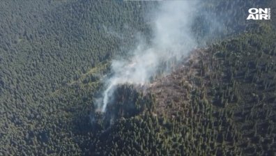 Огънят в Рила още тлее, пожарникари остават през нощта