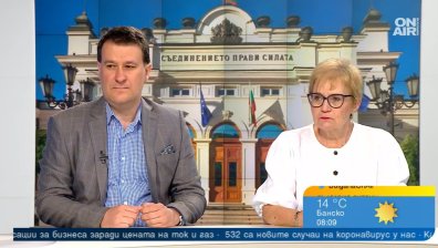 Политолози: Вървим към предсрочни избори, служебното правителство ще се опита да се утвърди
