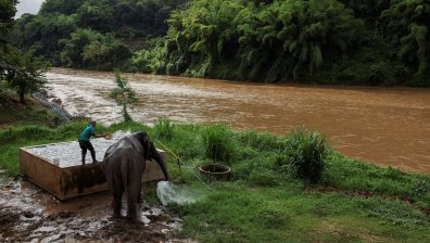 Токсични мини тровят реките и хората в Югоизточна Азия (СНИМКИ)