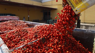 Малка схлупена къщурка с найлон отпред: В ужасяващи условия живеят берачите в Испания