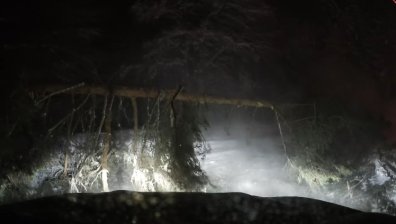 Лекари спасиха 19-годишно момче след паднал бор върху кола на Витоша