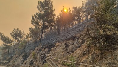 Гърция губи милиони от жестоките летни пожари