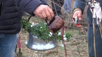Трифон Зарезан в Пороминово е празник само за мъжете