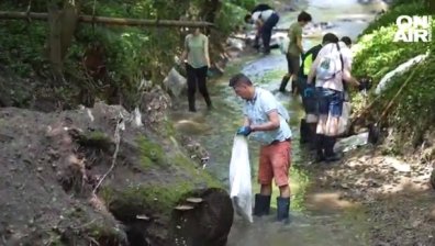 Schwarz IT с приложение за подаване на сигнали за нередности