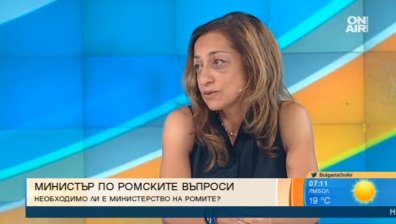 Министър по ромските въпроси - необходимо ли е и до какво ще доведе?