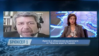 Г. Плиос: Управляващите в Гърция създадоха &bdquo;Златна зора&ldquo;