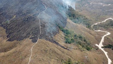 40% от "белите дробове" на Земята са застрашени