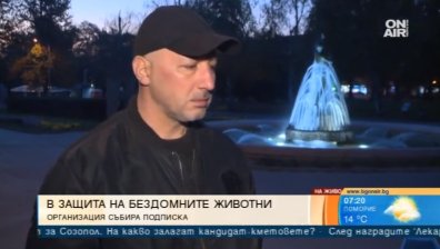 Жестокостта към бездомните животни става все по-безмилостна 
