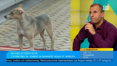 Народът си лае, керванът си върви: Как и защо едно куче се превърна в символ на българина