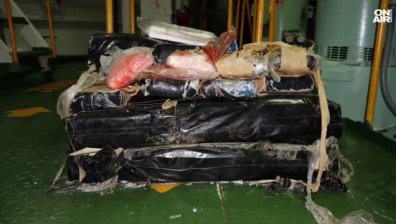 Вътрешен човек и куче разкрили 73-те кг кокаин в кораб в Бургас