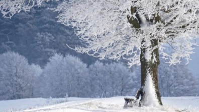 Облачността ще се увеличава, максимални температури между 5&deg; и 10&deg;