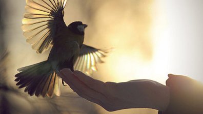 Десетте любими цитата на Ричард Брансън за промяната