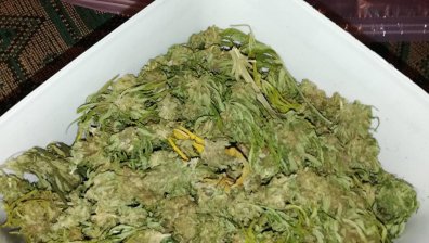 Откриха незаконно оръжие и наркотици в дома на 33-годишен в Пазарджик