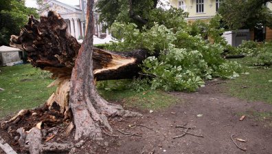 Частично бедствено положение: Ураганен вятър нанесе щети в Дългопол