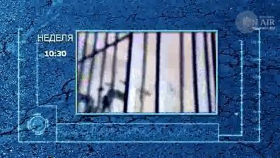 Неделното издание на &bdquo;Темида&ldquo; е посветено на пробацията