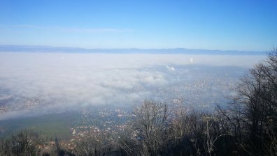Все още прашна пелена над София! ГЕРБ внасят закон срещу горенето на отпадъци
