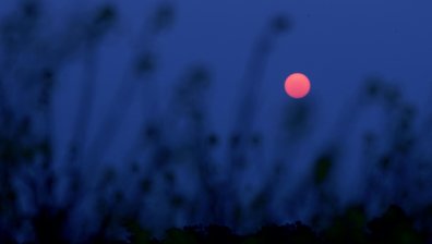 Розовото пълнолуние носи големи промени за тези 4 зодии