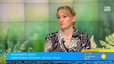 Екоминистърът: Не изпълняваме задълженията си за декарбонизация по ПВУ