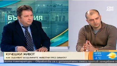 Фондация "Четири лапи": Някой трябва да контролира приютите за бездомни кучета