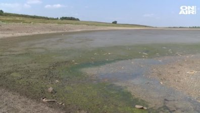 Източиха 300 декара язовир в Димитровградско... измряла е 15 т риба