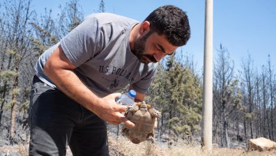 Спасяват хора и животни от горските пожари в Турция (СНИМКИ)
