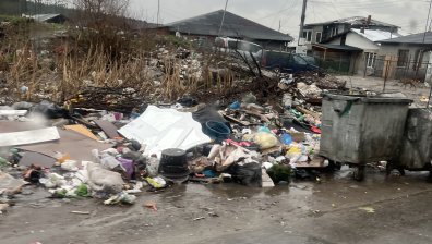 HelpBook: Планини от боклуци в кв. "Факултета" разнасят зарази