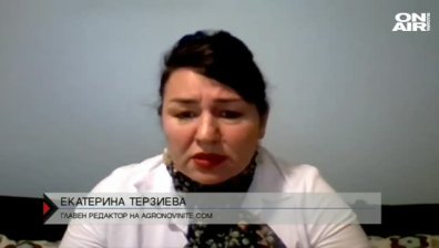  Рекордно поскъпване на храните у нас