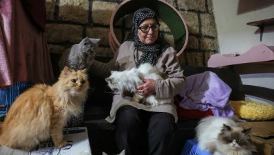 В хаоса на войната: Жена, превърнала дома си в приют, спаси десетки котки в Бейрут